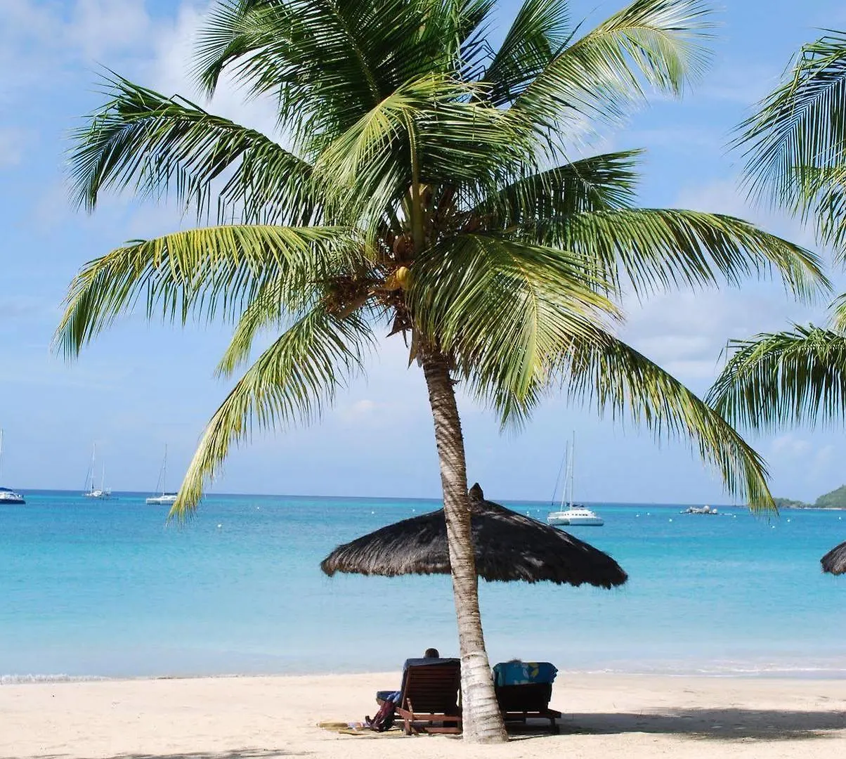 Tamarind Beach Hotel & Yacht Club Charlestown 4*,